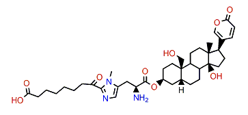 19-Hydroxybufalin 3-suberoyl-L-3-methylhistidine ester